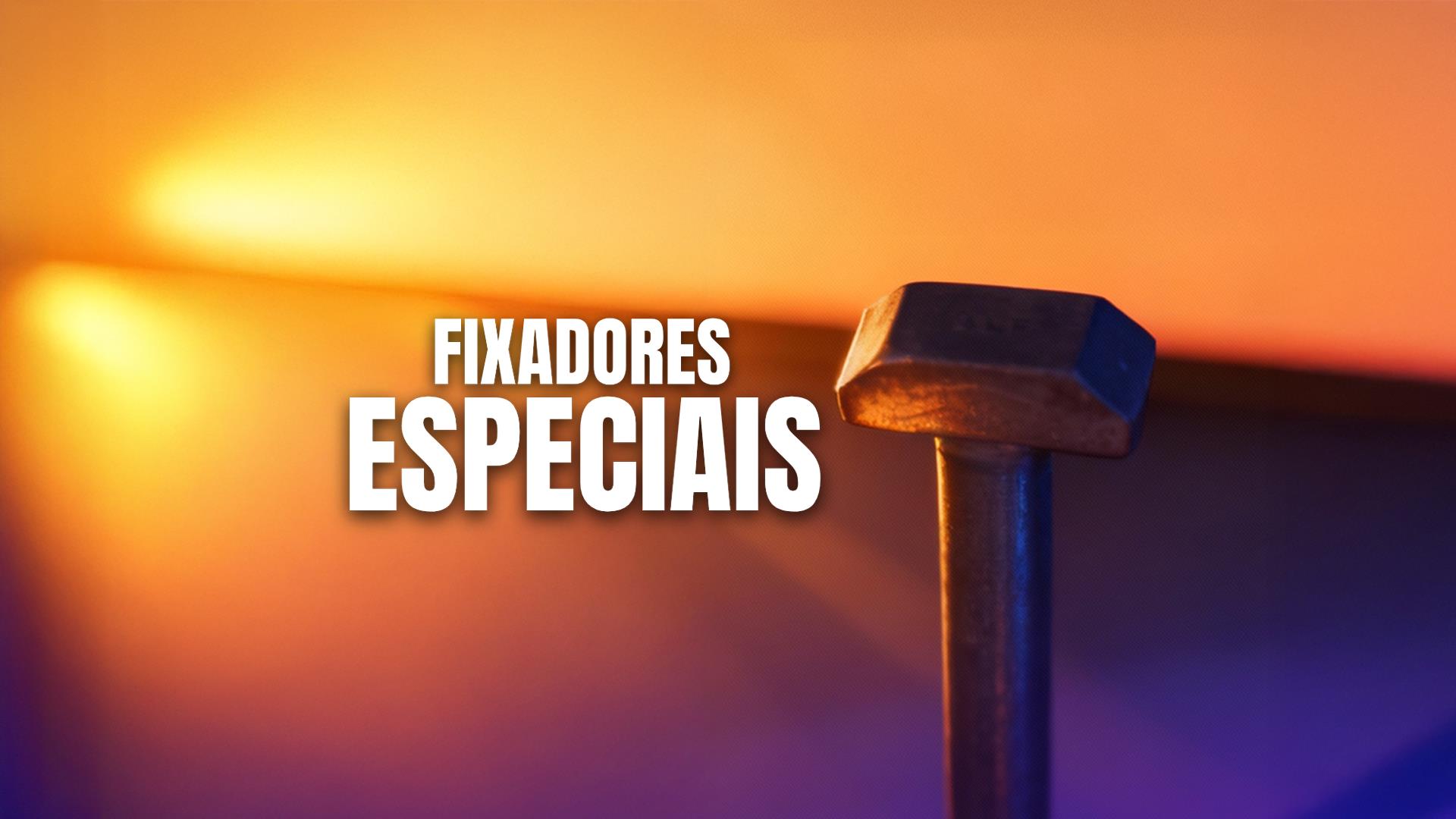 Fixadores especiais